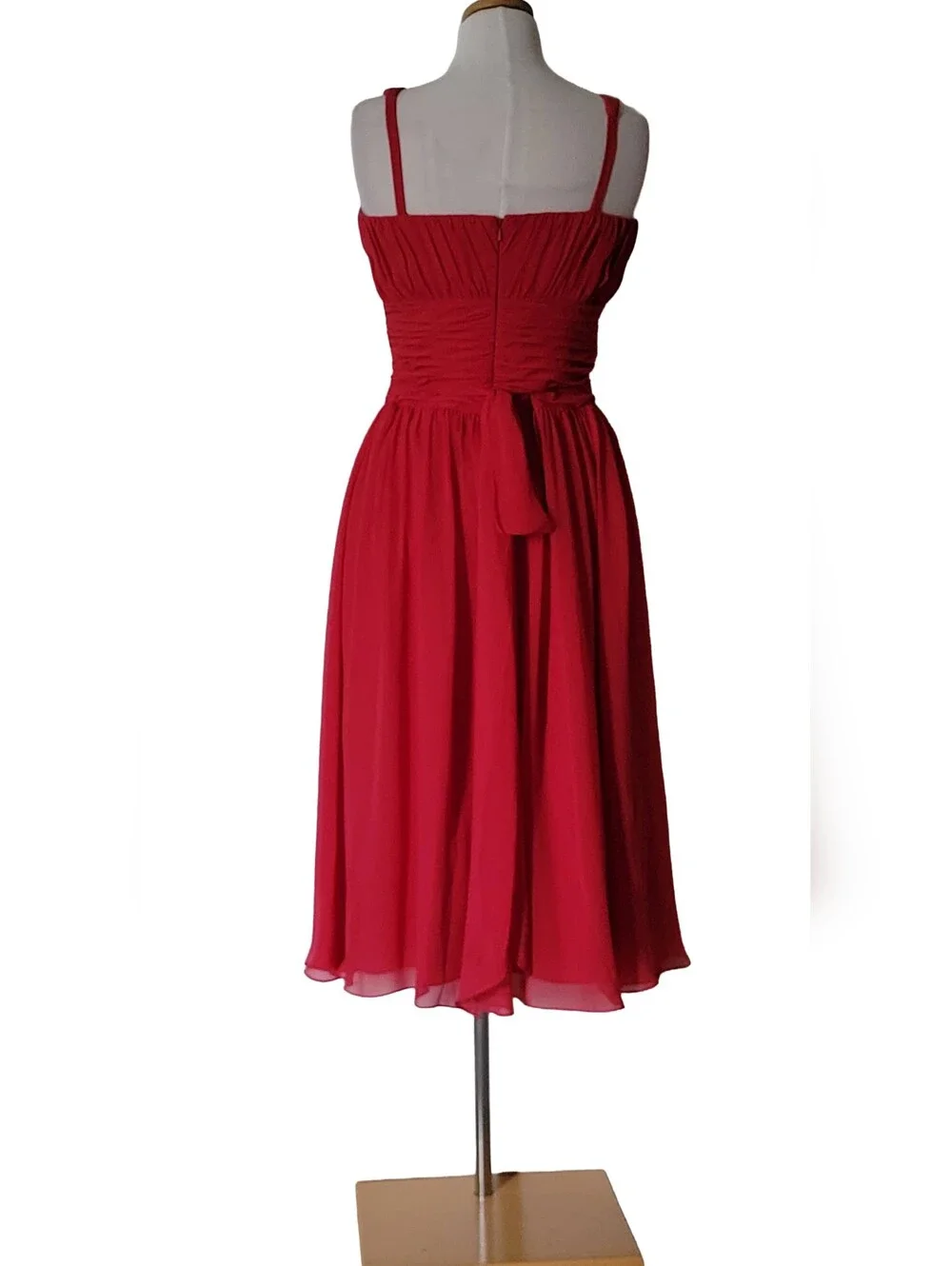 B2 Jasmine Danity Sheer Retro Vintage Aline Ruched Any Occasion Midi Zip Dress